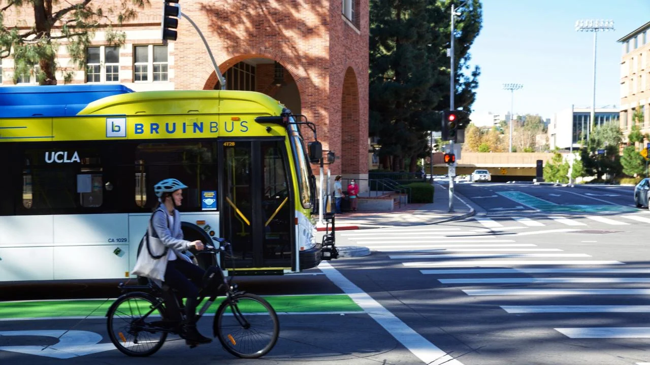 Using public transportation or carpooling can significantly reduce carbon emissions from transportation.