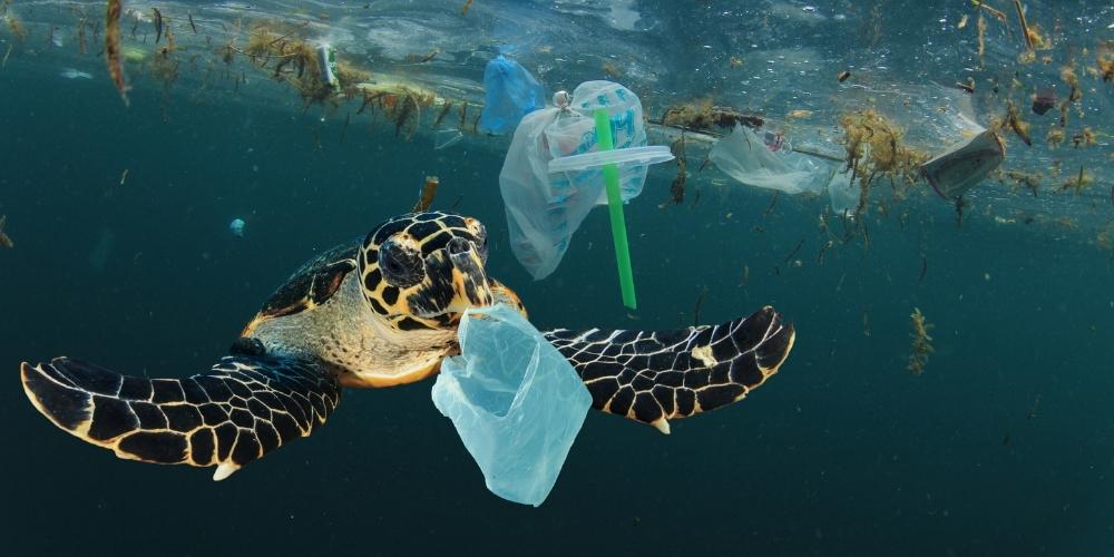 The Problem of Ocean Plastic Pollution