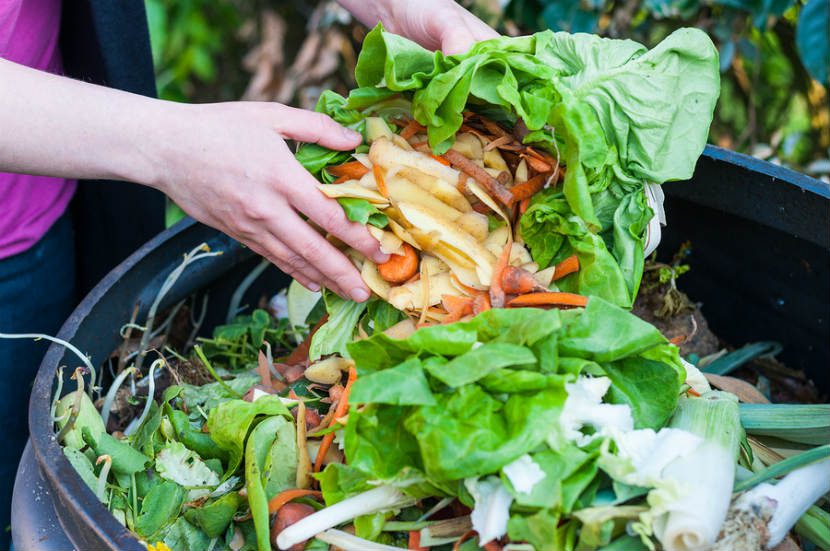 Tips on reducing food waste