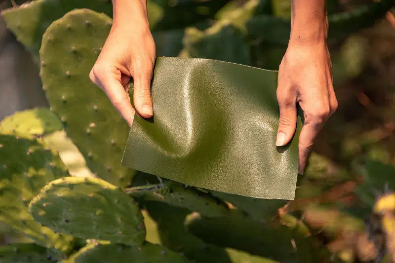 Cactus Leather Consumer Awareness