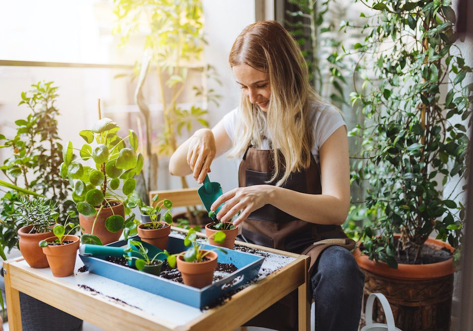 Plants add color and life to any space