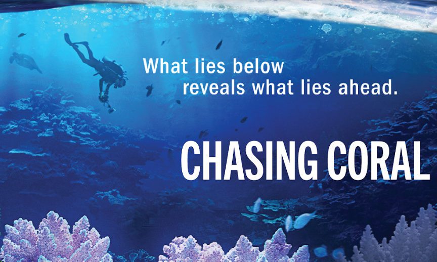 Chasing Coral