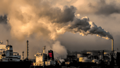what is carbon pricing?