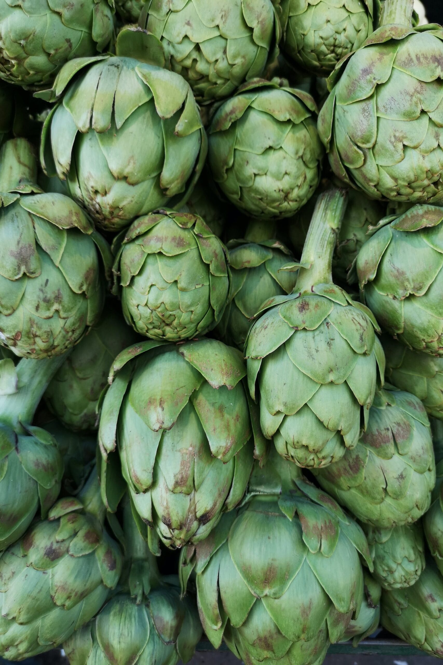 Artichokes are a nutrient powerhouse