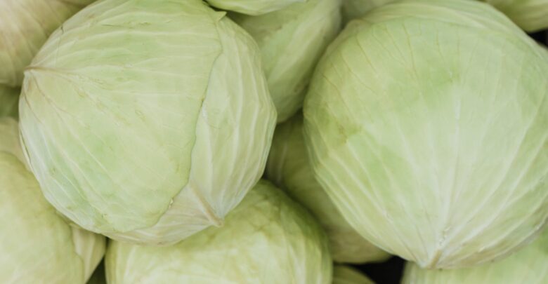 benefits of cabbage