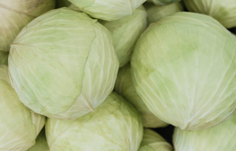 benefits of cabbage
