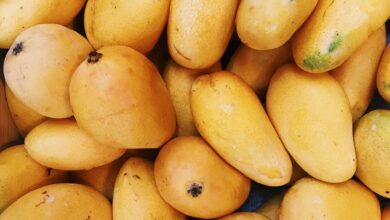 benefits of mangoes