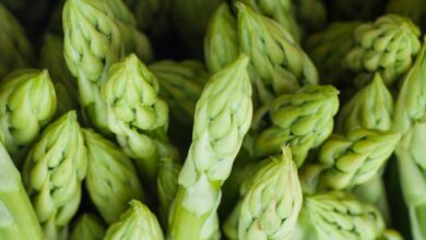 benefits of asparagus