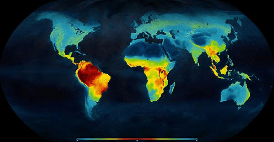 Distribution of living terrestrial vertebrate species, highest concentration of diversity shown in red in equatorial regions, declining polewards (towards the blue end of the spectrum) 