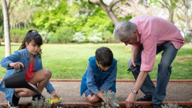 benefits of planting trees