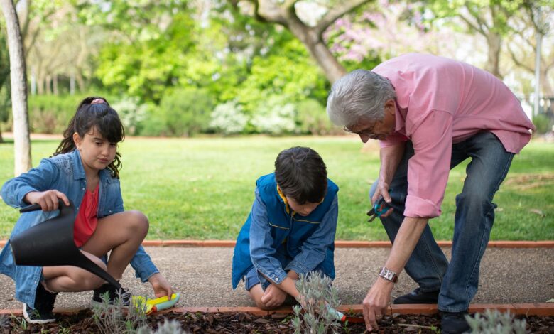 benefits of planting trees