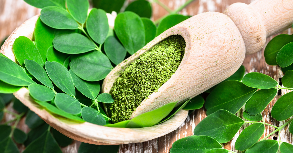 benefits of moringa