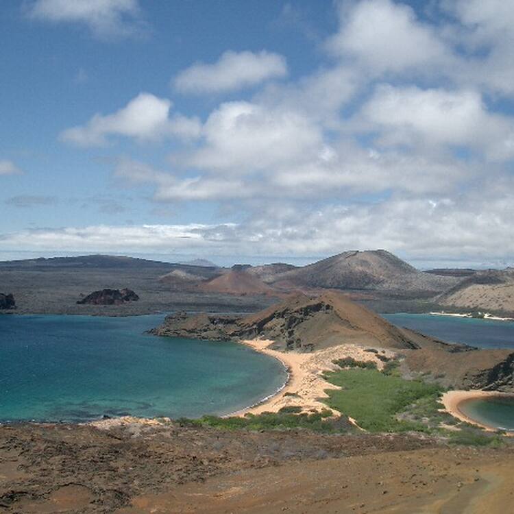 The Galapagos Islands