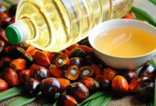 palm oil