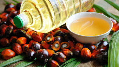 palm oil