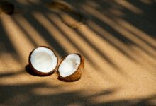 benefits of coconut