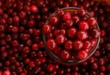 benefits of cranberries