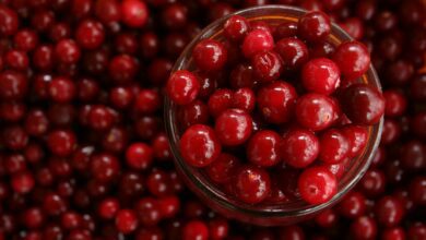 benefits of cranberries