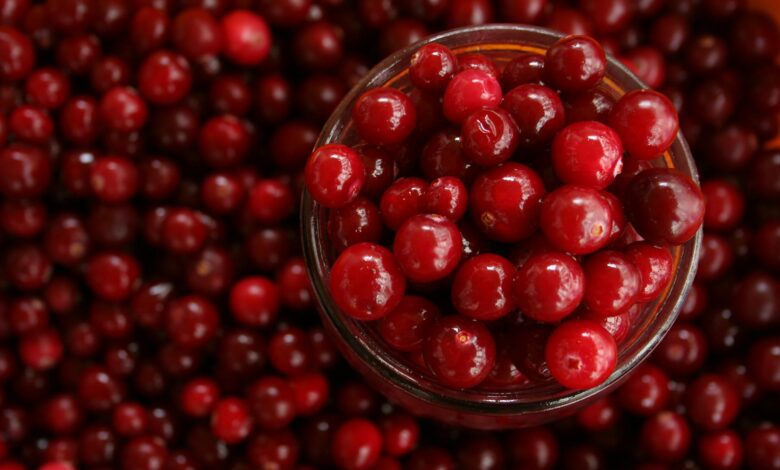 benefits of cranberries